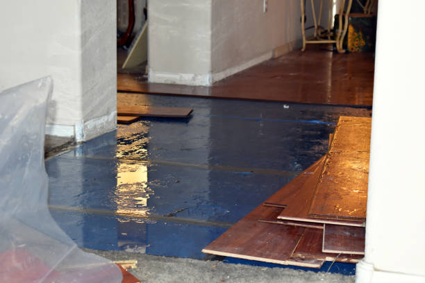 Professional Burst Pipe Cleanup technician working in Haleyville, AL