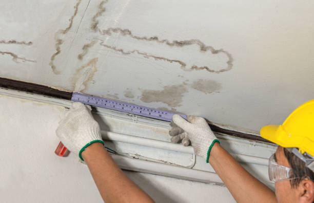 Reliable Burst Pipe Cleanup contractor in Haleyville, AL by Water Damage Irwin